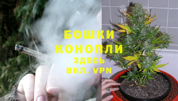 кокаин колумбия Богданович