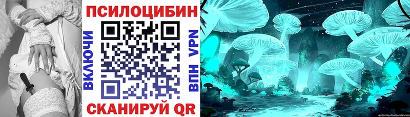 Псилоцибиновые грибы Psilocybe  закладки  Туймазы 